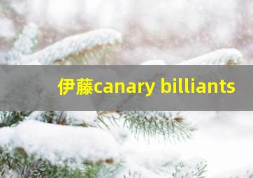 伊藤canary billiants